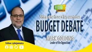 Sitting of the House of Representatives || Budget Debate - Mark Golding - March 16, 2021