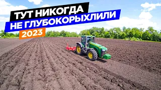 😱Сплошные корни смородины... Пашем на 40 см. на John Deere 8335R с Maschio Gaspardo.