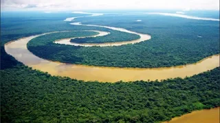 আমাজন জঙ্গলে ফুটন্ত নদীর সন্ধান The Amazon Boiling River Kills Anything That Enters