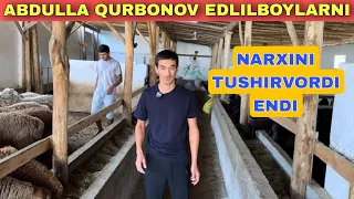 ABDULLA QURBONOV 300 BOSH EDILBOY QO‘ZNI 300 MINGDAN TUSHDI