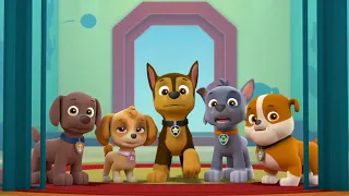 PAW Patrol | Marshall's Weekly Wipeouts! | Season 5 | Pups Save A Popped Top