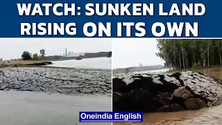 Haryana: Sunken land suddenly starts rising shocking bystanders | Watch viral video | Oneindia News