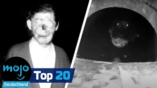 Top 20 Urbane Legenden die sich als wahr herausgestellt haben