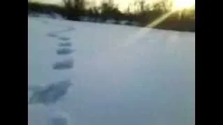 В Кемеровской области засняли на видео снежного человека