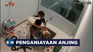 VIRAL! Video Penganiayaan Anjing di Sebuah Pet Shop di Kawasan Batam - BIM 03/06