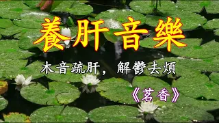 五音療疾｜木音疏肝，解鬱去煩，葫蘆絲《茗香》養眼悅耳！