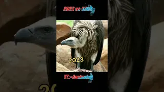 2023 vs 5000 bce vulture  #evolution #myth #shortvideo subscribe for more :-@factsahab313 #shorts