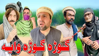 Gora Gora Waya Funny Video Daji Gull Vines