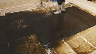 Cleaning The Blackest, Filthiest Dirt Off This Carpet ! (With Special Guest Appearance)