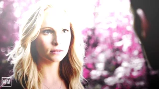 klaroline i hate you, i love you