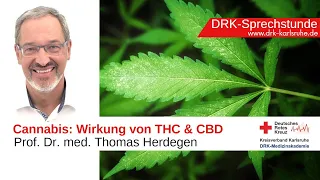🌿 CANNABIS - Wirkung von THC & CBD I Prof. Dr. Thomas Herdegen I Moderator: Prof. Dr. B.-D. Gonska