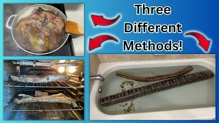 How to Sterilize Wood, Leaves, and Rocks for Reptile Enclosures!