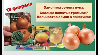 🧅🧅🧅Время сеять лук на рассаду. Замочила семена. Сравниваю количество семян от разных производителей🧐