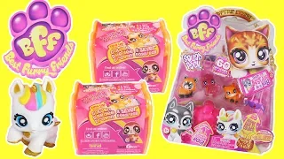 BFF Best Furry Friends Collectible Pet Toys