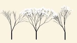 Fractal Trees (Processing)