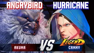 SF6 ▰ ANGRYBIRD (Akuma) vs HURRICANE (Cammy) ▰ High Level Gameplay