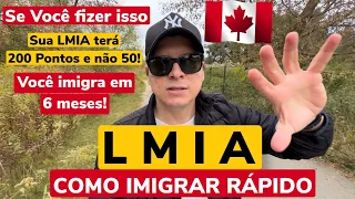 Como IMIGRAR para o CANADÁ | LMIA | Zarillo Neto