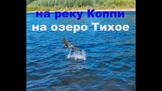 река Коппи, озеро Тихое в шторм...