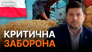 Політика ПЕРЕМАГАЄ... Чому ПОЛЬЩА продовжить заборону на імпорт українського зерна