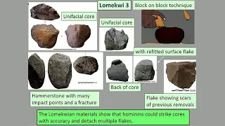 CARTA: Exploring the Origins of Today's Humans - Tim Weaver Paola Villa Sriram Sankararaman