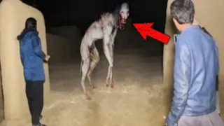 30 Scary Videos That’ll Leave Your Pants Brown