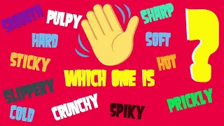 Which one? Quiz! Sense of touch!