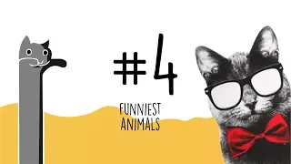 Cute & Funny Animals Doing Funny Things || Funnies Animals and WTF Moments! #4 (Daily Moments)