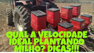 QUAL VELOCIDADE PLANTAR O MILHO? DICA: DESCUBRA SE ESTÁ NA VELOCIDADE CORRETA!🌽🚜