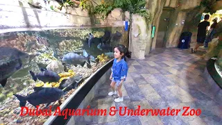 Dubai Aquarium & Underwater Zoo| One of the largest indoor aquariums in the world |The Dubai Mall