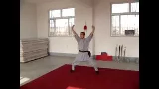 Tiger Form by Master Shi Yanhao - Train Martial Arts in China