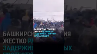 Жесткий разгон митинга в Башкортостане: дубинки, слезоточивый газ