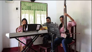 Dil Diyan Gallan Song - Tiger Zinda Hai "esraj instrumental"