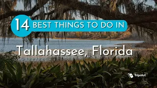 Things to do in Tallahassee, Florida