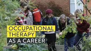 Occupational therapy as a career