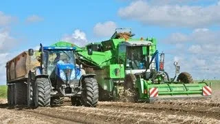 AVR PUMA+ Aardappels rooien 2012 - van Es, Lifting potatoes / Kartoffeln ernte