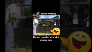 Horse Branding