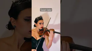Tchaikovsky Swan Lake 🦢 #violin #swanlake #blackswan #tchaikovsky