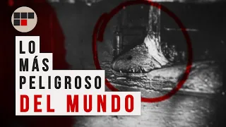 EL OBJETO MÁS PELIGROSO DEL MUNDO - Chernobyl | Crónicas