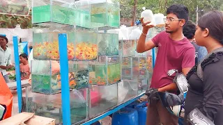 galiff street 14th April 2024 | galiff  street  fish  market new video | kolkata | part 1