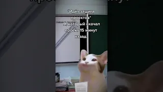 Лучшие тикток мемы #1216 | Best TikTok memes #shorts #memes #мем