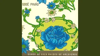 Godê Pavão