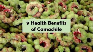 9 Health Benefits of Camachile