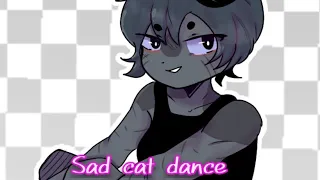 sad cat dance meme 🐾