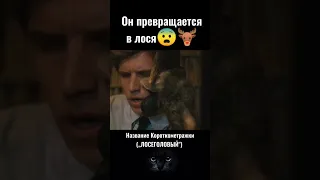 Фильм: Лосеголовый #рекомендации #сериалы #топ #фильмы