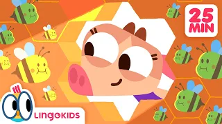 BEES, DINOSAURS AND MORE FUN CARTOONS 🐝🦖 Science for Kids | Lingokids