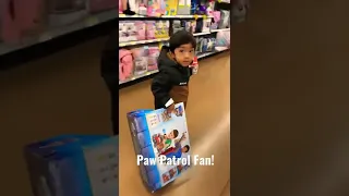 Paw Patrol Toy