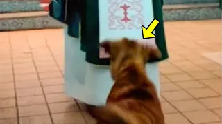 He Was About to Become a Priest but the Dog Noticed Something Very Strange & Stopped Everything!