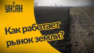 Бума не произошло: как работает рынок земли в Украине после отмены моратория?