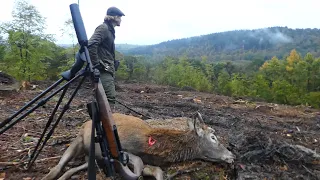 Hunting Exmoor Giants