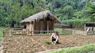 How to build garden, Make pig duck food, Free life in forest with girl - Ep.101